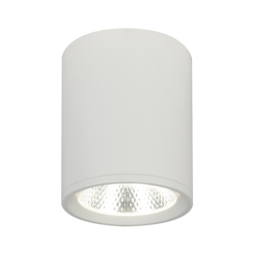 Потолочный светильник Escada 20003SMU/02 LED 12W 4200K белый матовый Потолочный светильник Escada 20003SMU/02 LED 12W 4200K белый матовый