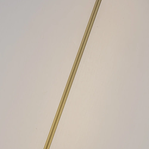 Торшер Favourite 4890-1F Барбель/Barbell фото 12 Торшер Favourite 4890-1F Барбель/Barbell фото 12