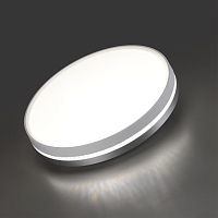 7670/DL COLOR SN 152 Светильник пластик/белый/серый LED 48Вт 4000К D415 IP43 NOHAVA GREY