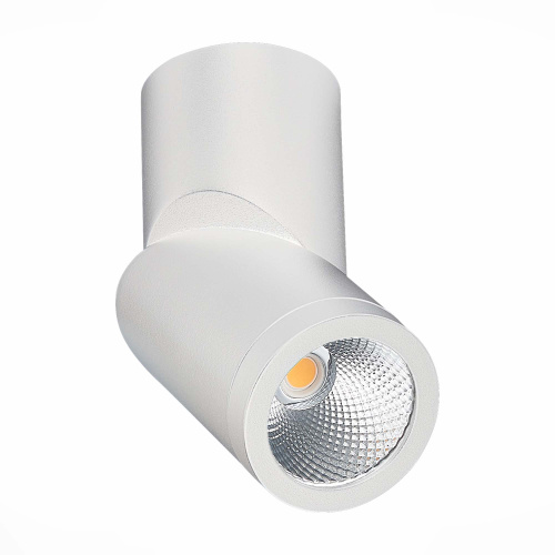 ST650.542.10 Светильник потолочный Белый LED 1*10W 4000K 800Lm Ra>90 38° IP44 D62xH151 165-265V Накладные светильники фото 4