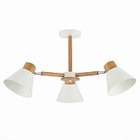 Потолочная люстра Evoluce Buve SLE103702-03