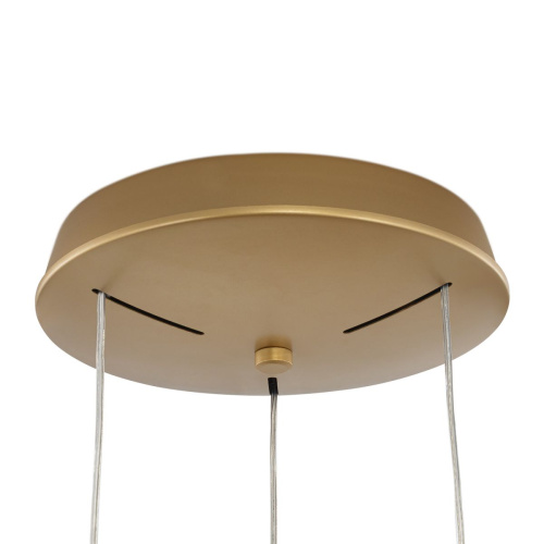 Подвесной светодиодный светильник Citilux Genka Smart CL756A092 фото 10