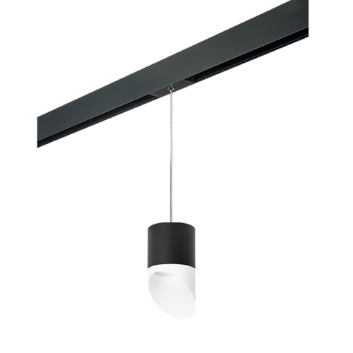 PRORP348786 Светильник д/1-фазн трека RULLO GX53 (213487+595887+201486) PRORP348786 Светильник д/1-фазн трека RULLO GX53 (213487+595887+201486)