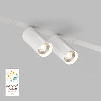 Светильник на шине Denkirs SMART SPOT | СМАРТ СПОТ DK8012-WH