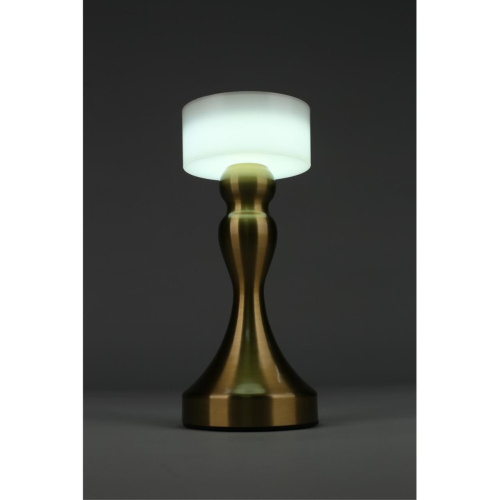 Настольная лампа OML-40304-01 фото 14