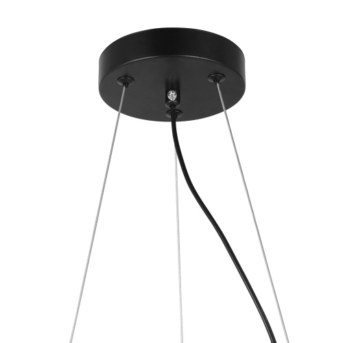 Подвесной светильник Lampit Fino TP 2002-12 BK фото 3