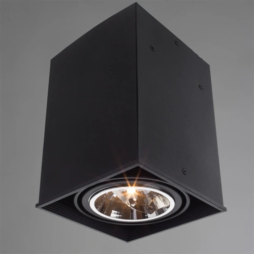 Точечный накладной светильник Arte Lamp CARDANI GRANDE A5936PL-1BK фото 2