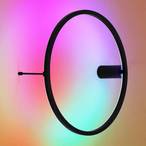 Настенный светодиодный светильник Odeon Light Omen 4386/24WL фото 4 Настенный светодиодный светильник Odeon Light Omen 4386/24WL фото 4