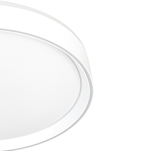 Citilux BOSS CL751350G LED RGB Светильник с пультом Белый фото 10