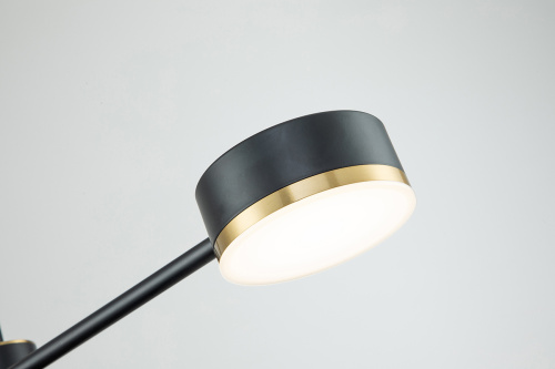 Потолочный светильник Escada 10246/6 LED*56W Black/Gold фото 6 Потолочный светильник Escada 10246/6 LED*56W Black/Gold фото 6