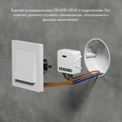 Denkirs Relay | РИЛЭЙ RL1002-SM фото 4 Denkirs Relay | РИЛЭЙ RL1002-SM фото 4