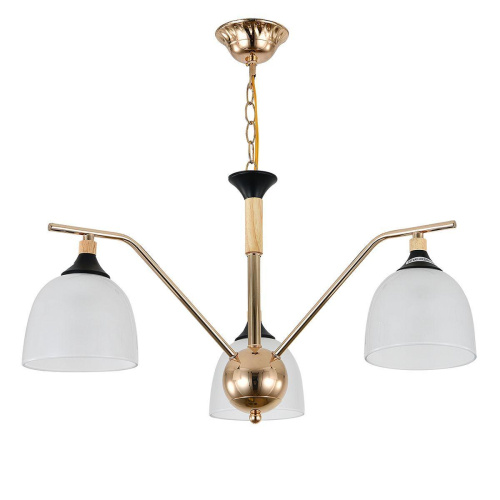 Подвесная люстра Escada Actinidia 2123/3P Подвесная люстра Escada Actinidia 2123/3P