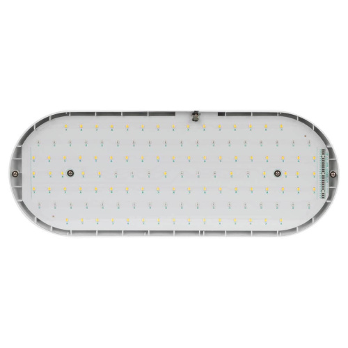 Светодиодный подвесной светильник для растений ЭРА Fito-25W-Qled-Fly Б0053062 фото 6