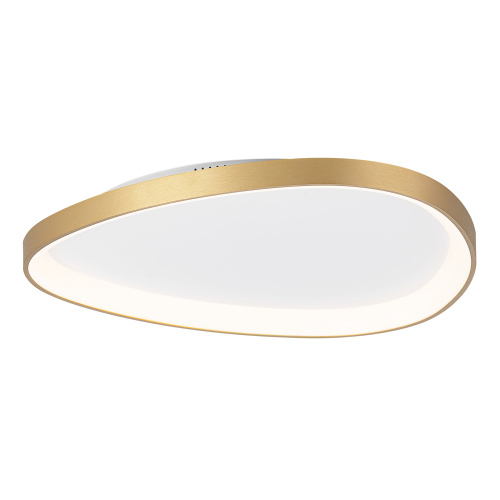 Citilux GENKA SMART CL756A162 LED Умная люстра фото 3 Citilux GENKA SMART CL756A162 LED Умная люстра фото 3