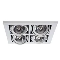 Карданный светильник Arte Lamp CARDANI MEDIO A5930PL-4WH