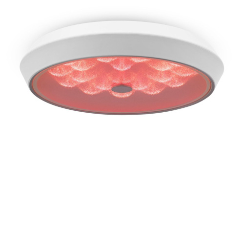 Потолочный светодиодный светильник Freya Cells FR10012CL-L24W фото 2