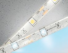 Светодиодная лента 12В 5050 30Led 7.2Вт/м 6500K IP65 5м