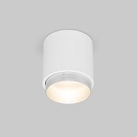 Потолочный светодиодный светильник Cors 25032/LED 10W 4200K белый/серебро