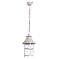 Уличный подвесной светильник Arte Lamp PRAGUE A1465SO-1WG