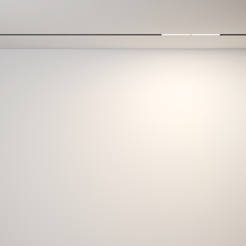 Трековый светильник Technical TR106-2-12W3K-B фото 12