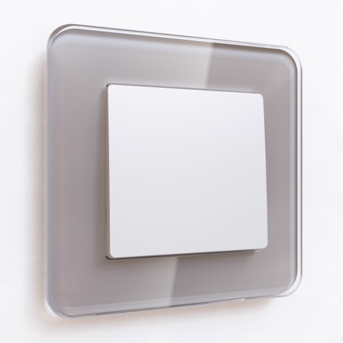 Выключатель одноклавишный (белый матовый) W1110061 фото 2 Выключатель одноклавишный (белый матовый) W1110061 фото 2