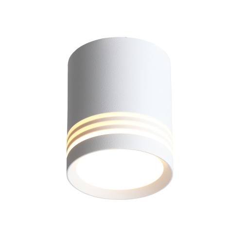 ST101.542.05 Светильник потолочный Белый LED 1*5W 4000K 390Lm Ra>80 120° IP20 D68xH80 170-240V Накладные светильники фото 2
