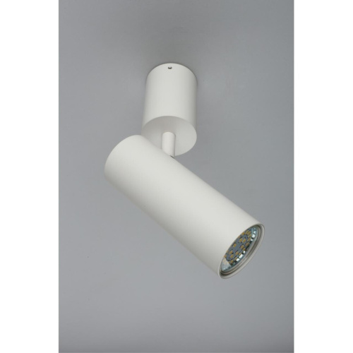 Светильник настенно-потолочный APL.007.02.01 фото 5