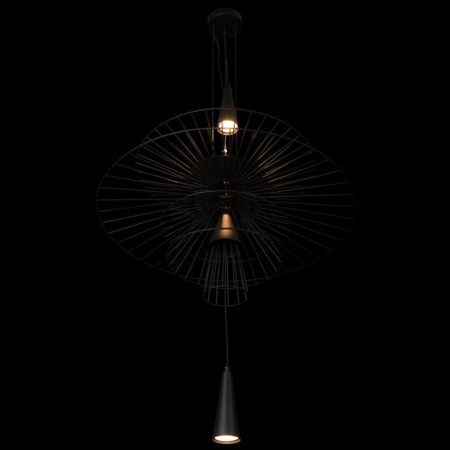 10141/600 Black Подвесной светильник LOFT IT Star фото 5 10141/600 Black Подвесной светильник LOFT IT Star фото 5