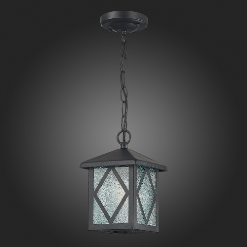 SL084.403.01 Светильник уличный подвесной ST-Luce Черный/Черный, Прозрачный E27 1*60W LORNE фото 6