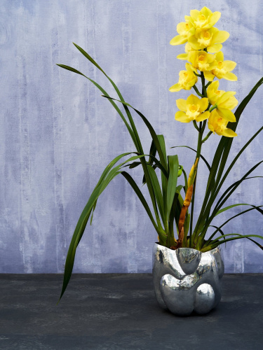 Ваза Cloud Short фото 2