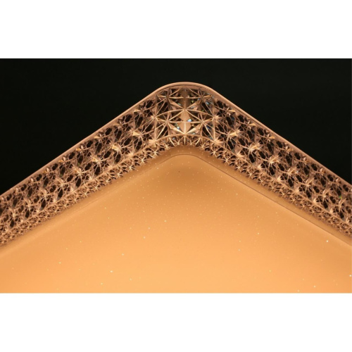 Люстра потолочная OML-47717-60 фото 2 Люстра потолочная OML-47717-60 фото 2