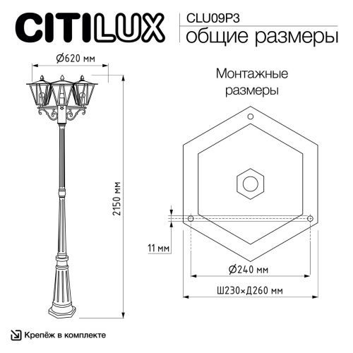 Садово-парковый светильник Citilux Forts CLU09P3 фото 5