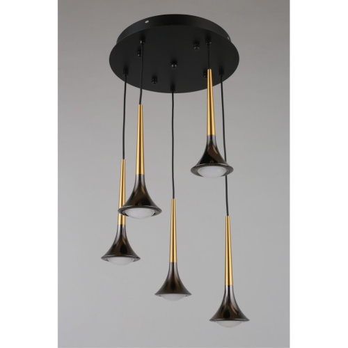 Люстра подвесная APL.784.06.05 фото 16 Люстра подвесная APL.784.06.05 фото 16