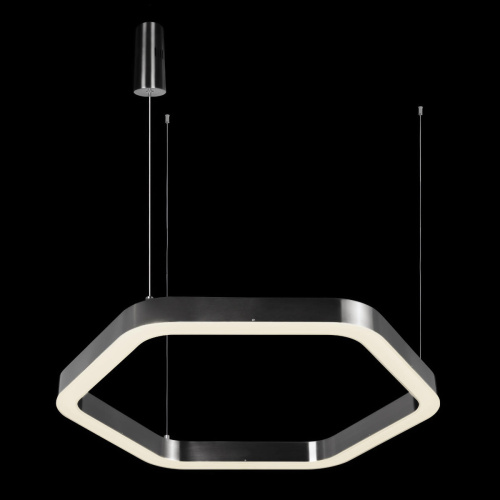 10243S Dark grey Подвесной светильник LOFT IT Titanium фото 2