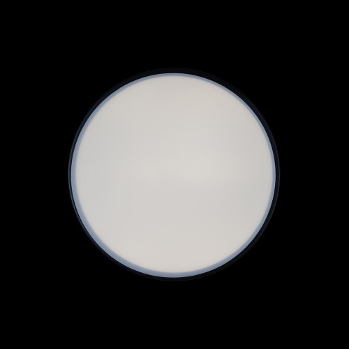 10002/12 Black Потолочный светильник LOFT IT Axel фото 4