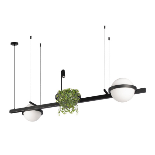 10121/D Подвесной светильник LOFT IT Jardin фото 2