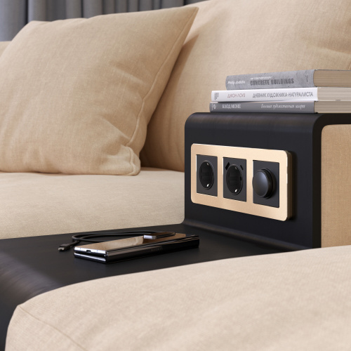 Рамка из металла на 3 поста Platinum шампань W0032611 фото 3