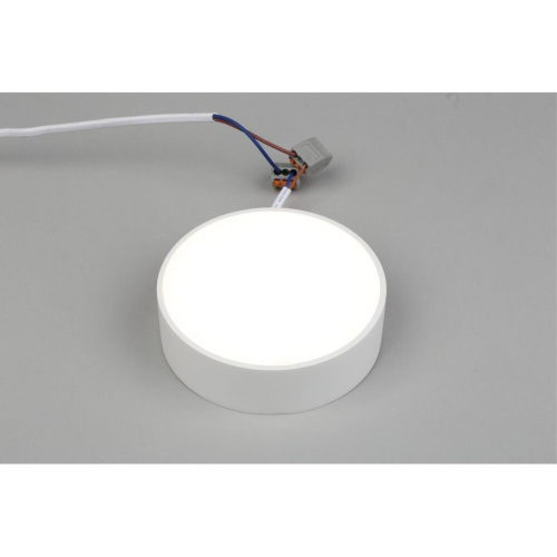 Светильник настенно-потолочный APL.0114.09.12 фото 4