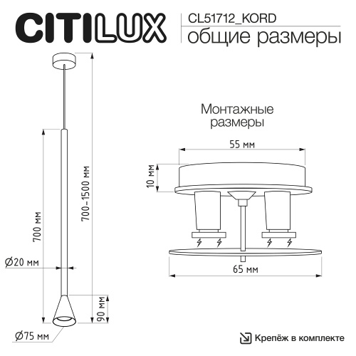 Citilux SkyPORT.10 DUZA CL51712_KORD Подвесной встраиваемый светильник Латунь фото 9