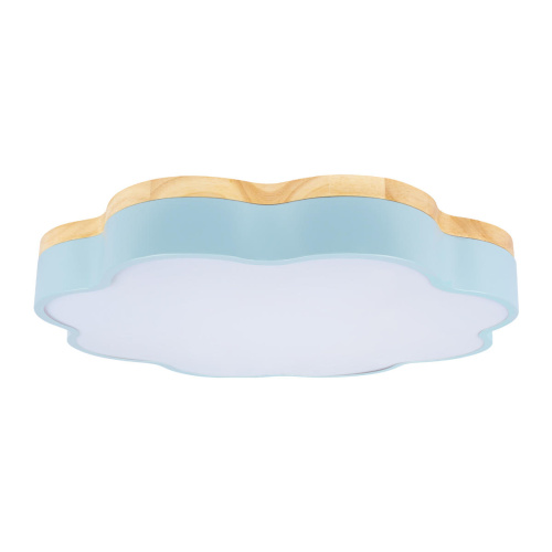 10225/36 Blue Потолочный светильник LOFT IT Axel фото 3