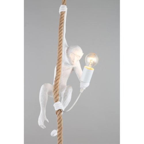 Светильник подвесной APL.309.06.01 фото 5 Светильник подвесной APL.309.06.01 фото 5