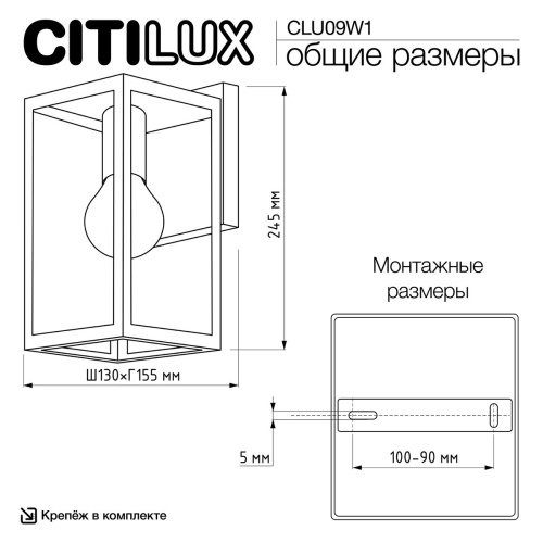 Уличный настенный светильник Citilux Forts CLU09W1 фото 4