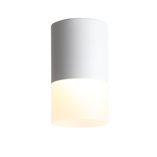 ST100.502.10 Светильник потолочный Белый LED 1*10W 3000K 780Lm Ra>80 120° D78xH135 170-240V Накладные светильники фото 8