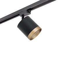 Комплект с трековым светильником Lightstar Rullo (213487+592087+203490) R1T348790