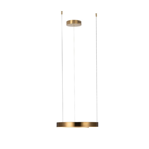 10013S Подвесной светильник LOFT IT Ring фото 2