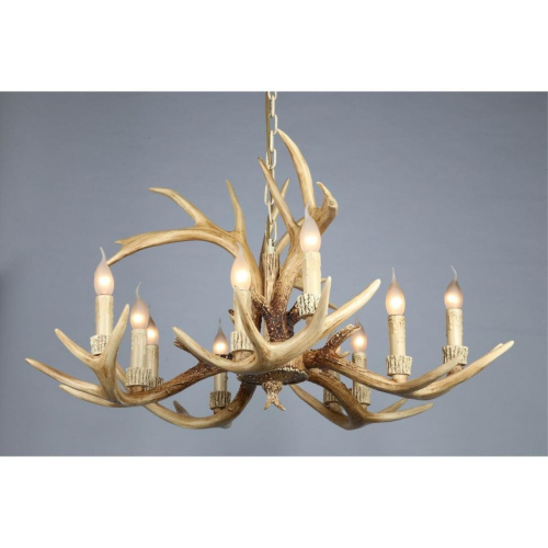 Люстра подвесная OML-52003-10 фото 2 Люстра подвесная OML-52003-10 фото 2