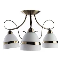 Потолочная люстра Arte Lamp NOEMI A6192PL-3AB