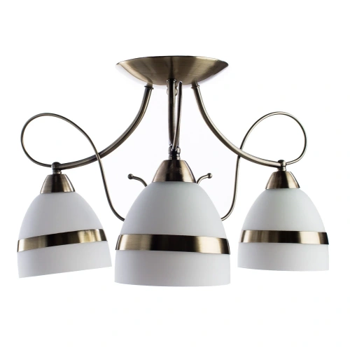 Потолочная люстра Arte Lamp NOEMI A6192PL-3AB
