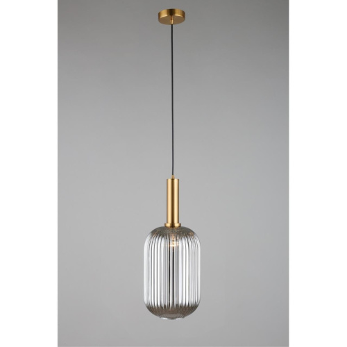 Светильник подвесной OML-99506-01 фото 4