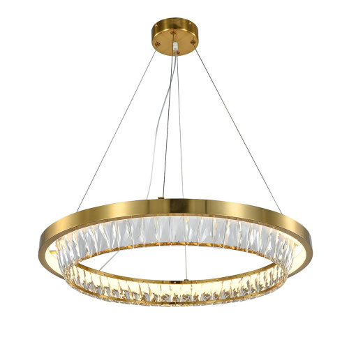 Подвесной светодиодный светильник Indigo Riva 12045/1P Brass V000102L фото 2